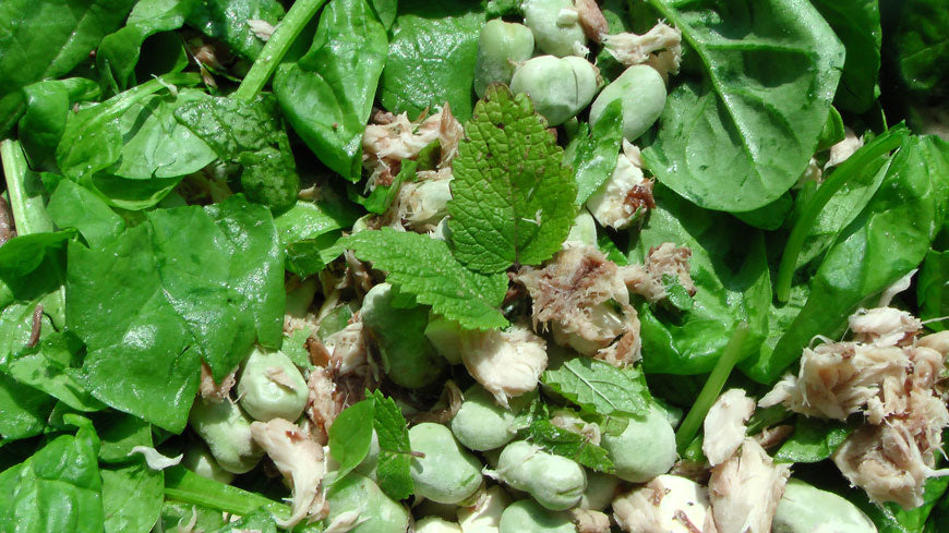 Makreelsalade recept met citroenmelisse