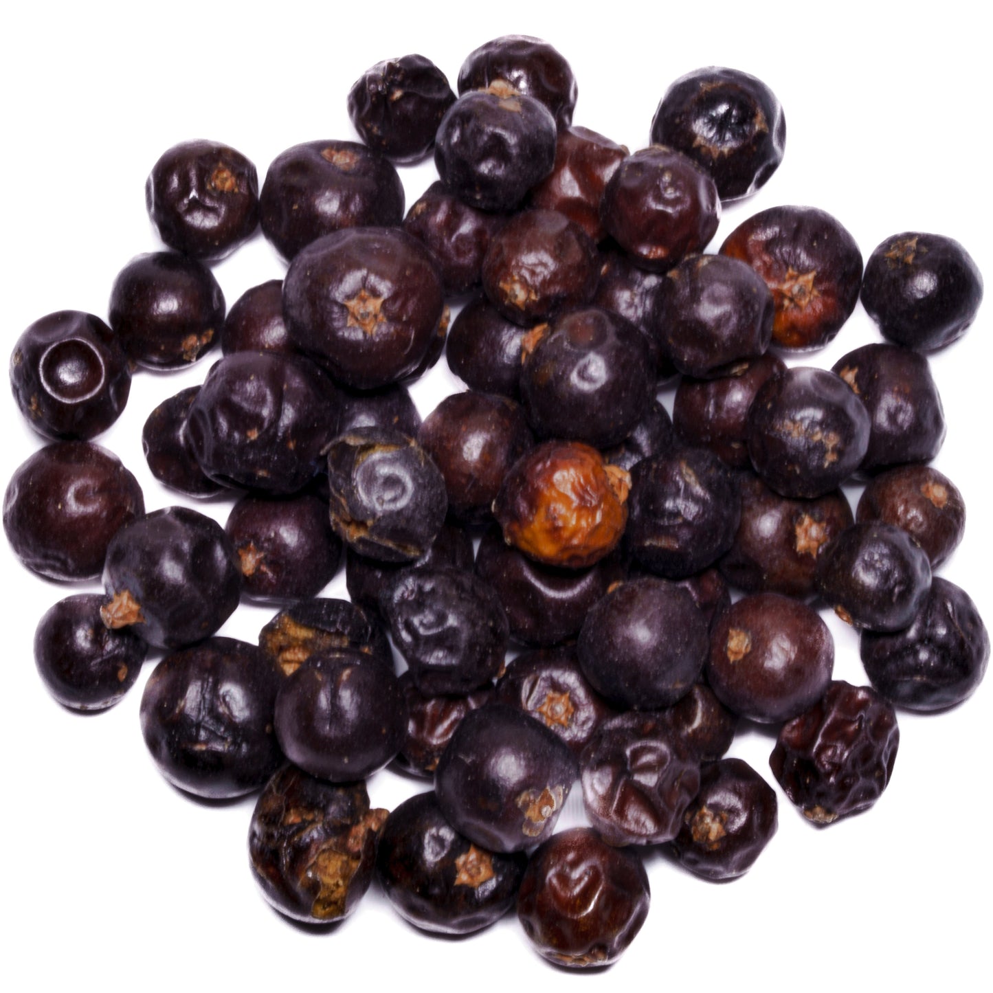 jeneverbes